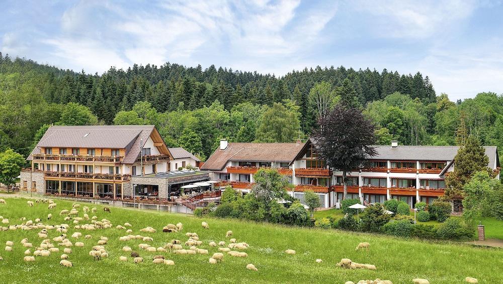 Hotel Grüner Wald Freudenstadt Exterior foto